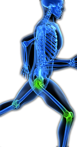 Hip and Knee Specialist